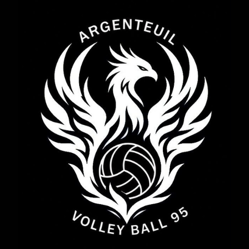 ARGENTEUIL VOLLEY BALL 95